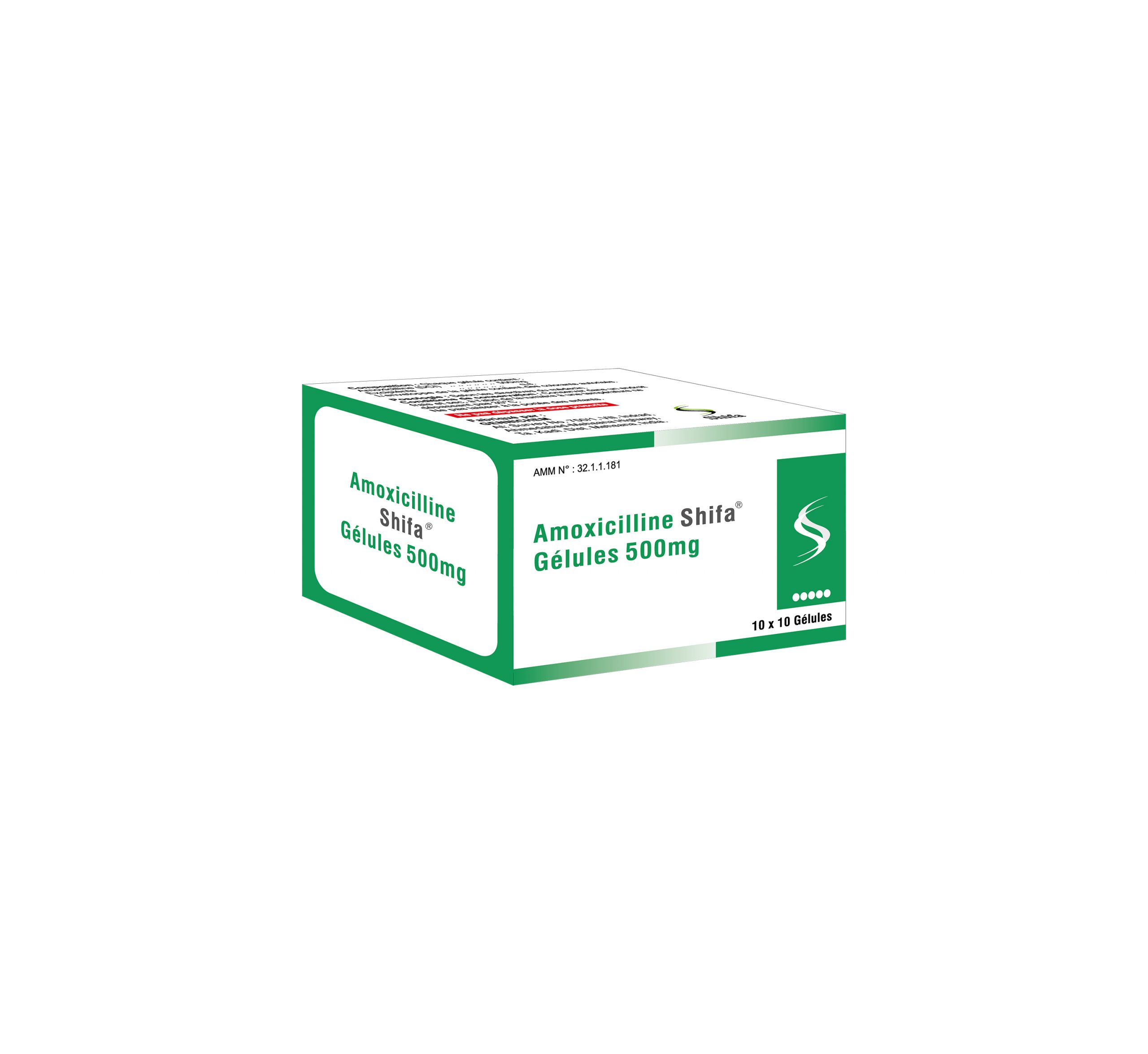 amoxicilline zydus france 500mg