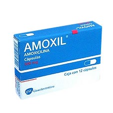 Amoxicilline prix