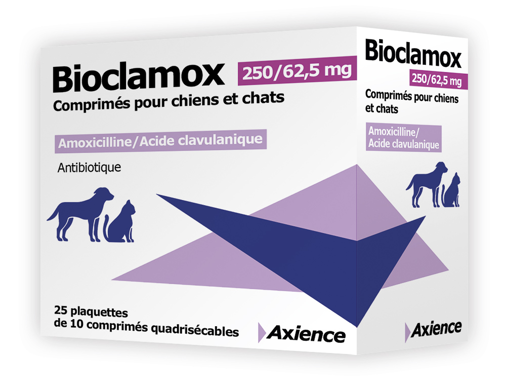 amoxicilline chat prix