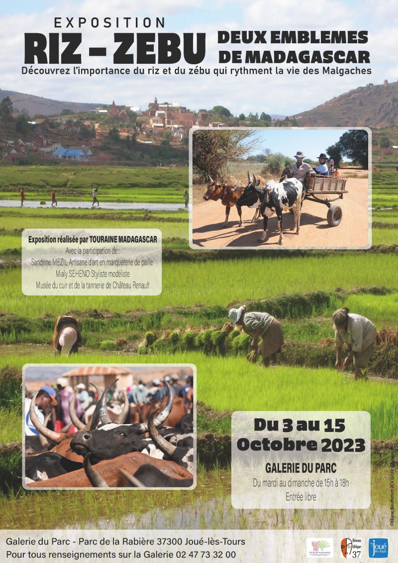 Cialis online billigt