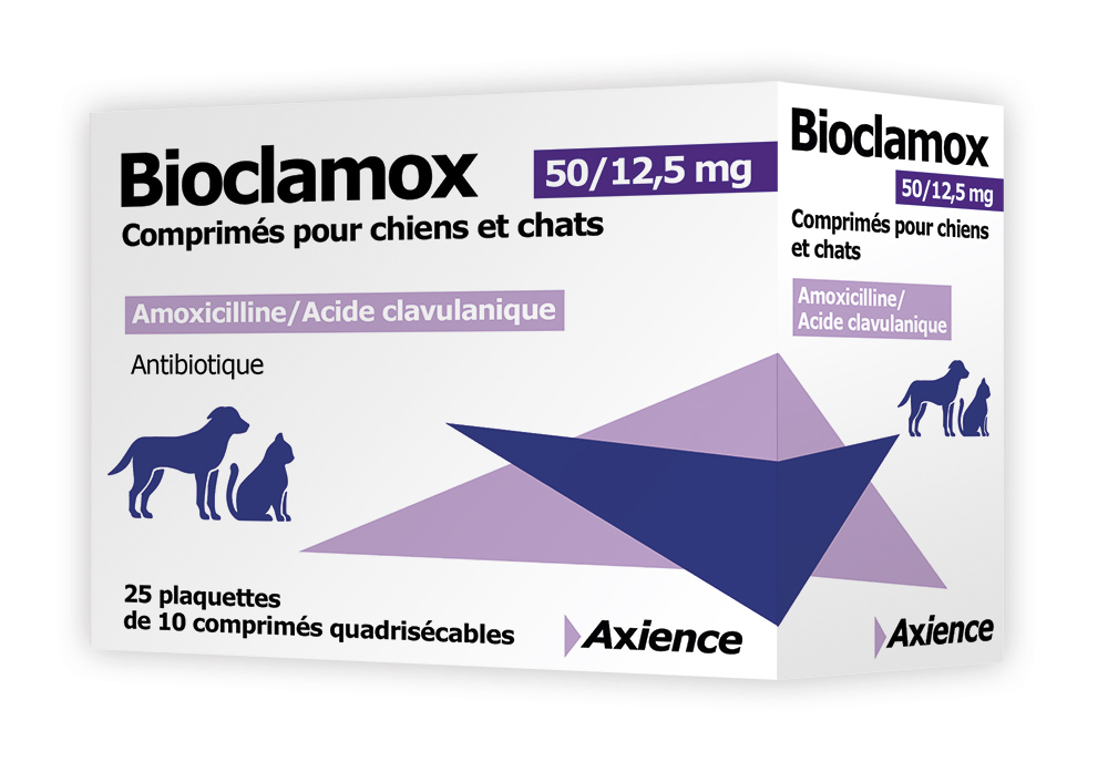Amoxil Achat