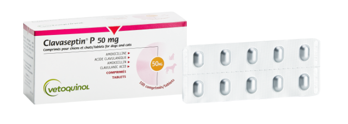 Amoxil 250mg Online
