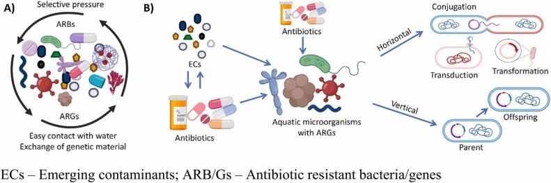 amoxicillin pas cher