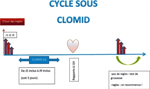 Clomiphene pilule