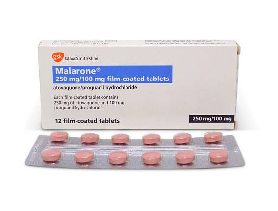 Sildenafil 50 Mg Bnf