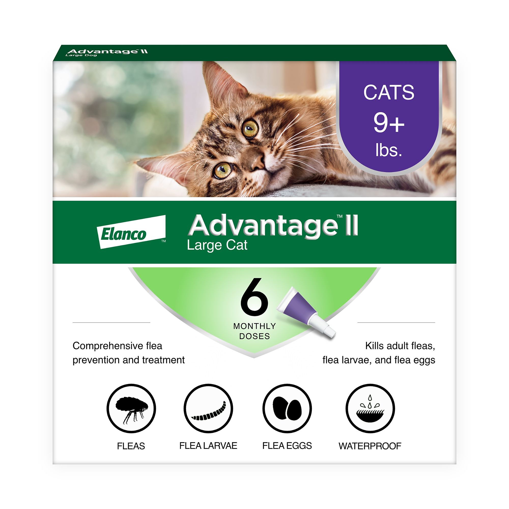 Sildenafil Arrow Prix